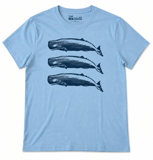 Camiseta 3 CACHALOTES Celeste – vista frontal