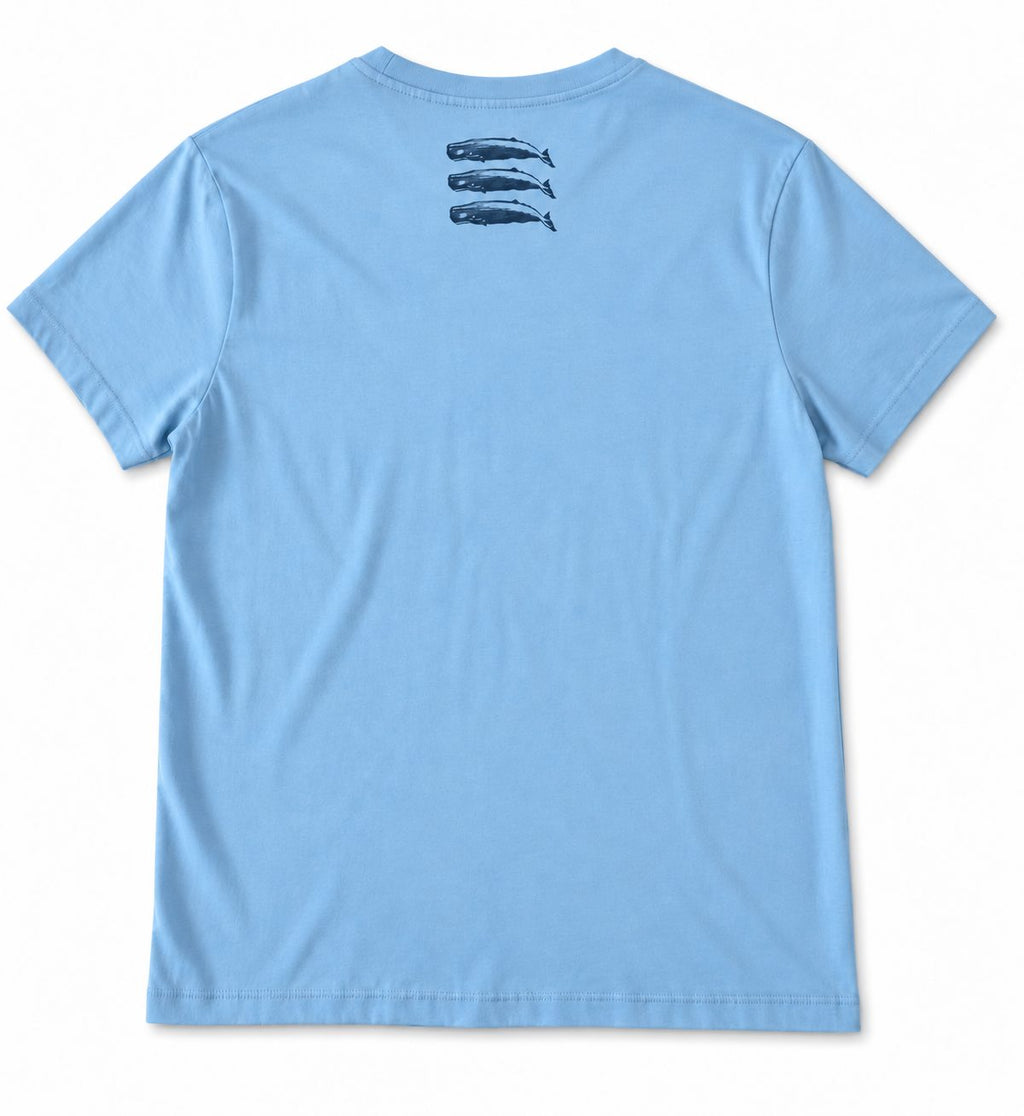 Camiseta 3 CACHALOTES Celeste – vista trasera