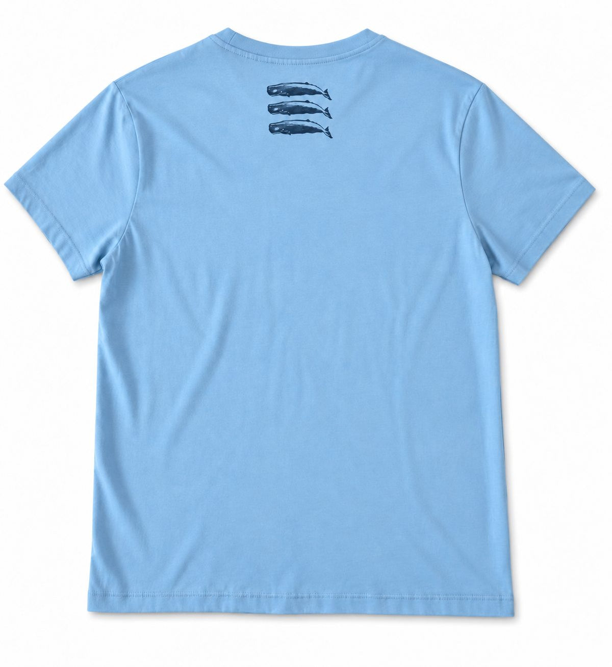 Camiseta 3 CACHALOTES Celeste – vista trasera
