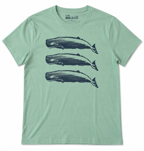 Camiseta 3 CACHALOTES Menta – vista frontal