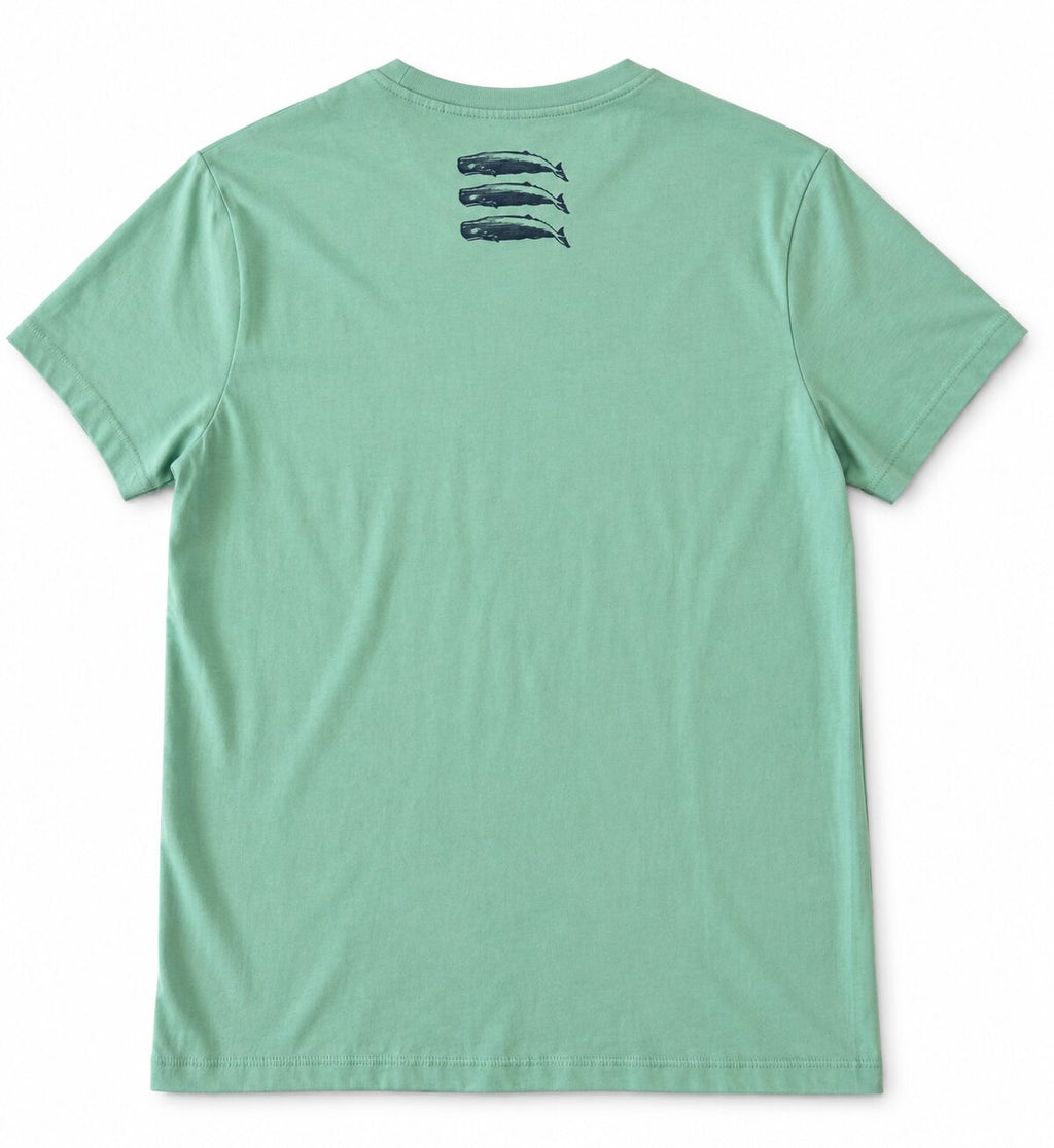 Camiseta 3 CACHALOTES Menta – vista trasera