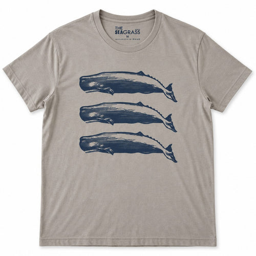 Camiseta 3 CACHALOTES Ópalo – vista frontal