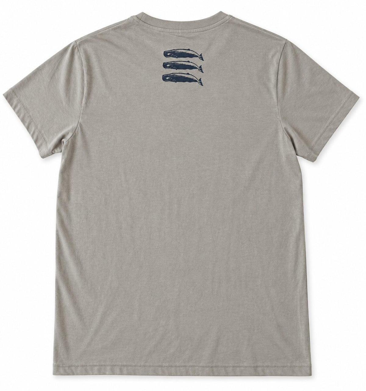 Camiseta 3 CACHALOTES Ópalo – vista trasera